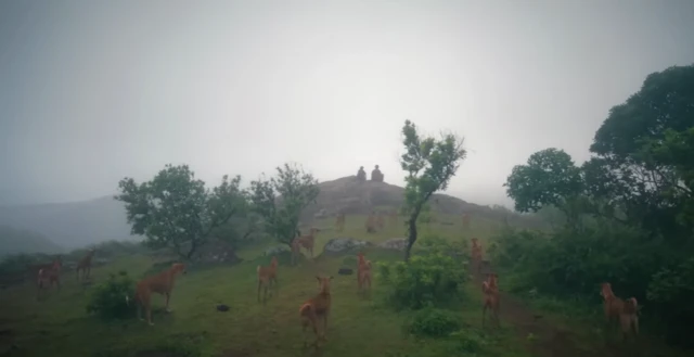 எக்கோ, கோம்பை நாய்கள், திரைப்படங்கள், மலையாளம்