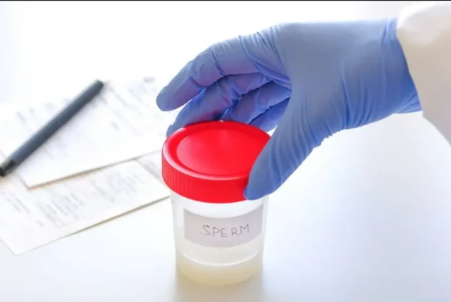 ਸ਼ੁਕਰਾਣੂਆਂ ਵਾਲੇ ਡੱਬੇ ਦੀ ਸੰਕੇਤਕ ਤਸਵੀਰ