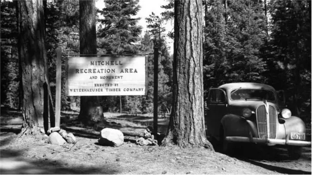 ફુગ્ગા બૉમ્બ