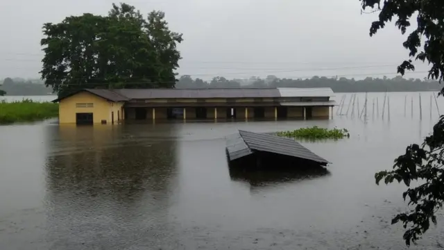 5 சதவீதம் தண்ணீரில் மூழ்கிய காசிரங்கா பூங்கா