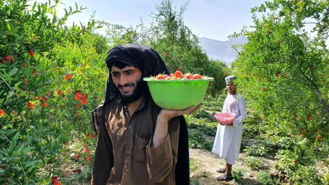 کندهار کې د ځمکې توتان