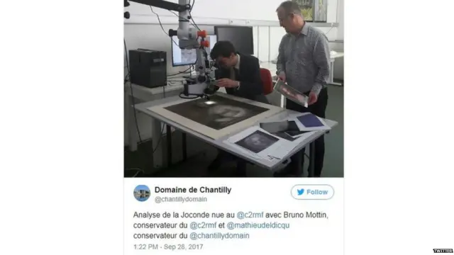 पॅरिसच्या ल्यूर संग्रहालयात तज्ज्ञांनी या चित्राचे परीक्षण केले.