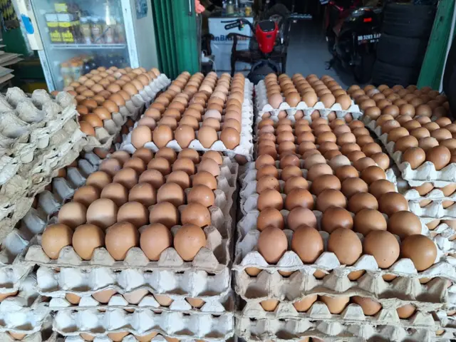 Telur
