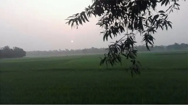 কুয়াশার ভেতর দিয়ে ভোরের সূর্য উঠছে