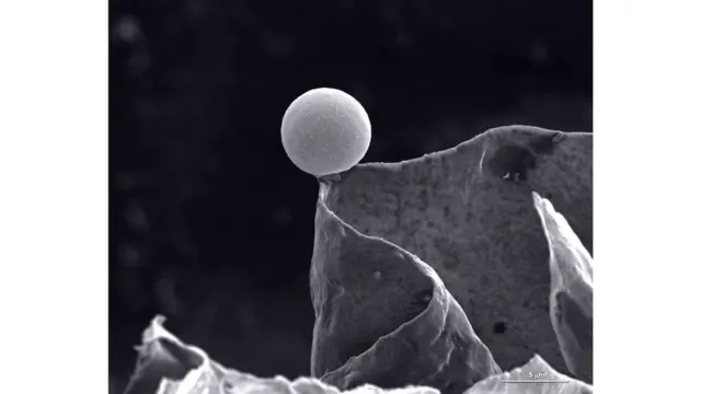 Поверхность активированного угольного зерна