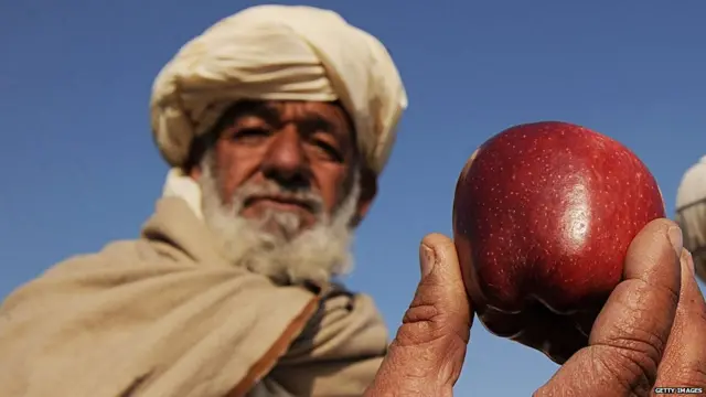 ਭਾਰਤ-ਅਫ਼ਗਾਨਿਸਤਾਨ ਵਪਾਰ