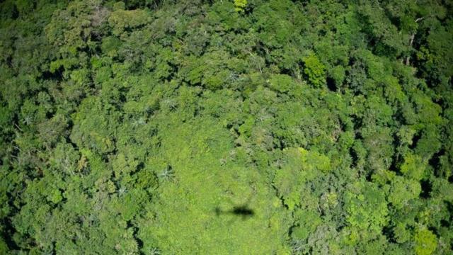 Sombraknec cbethelicóptero sobre a Amazônia