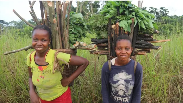Les concessions exigent des communautés qu'elles utilisent la forêt de diverses manières pour gagner leur vie, pour encourager la résilience économique