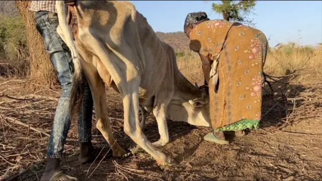 Loon hongeen miidhaman