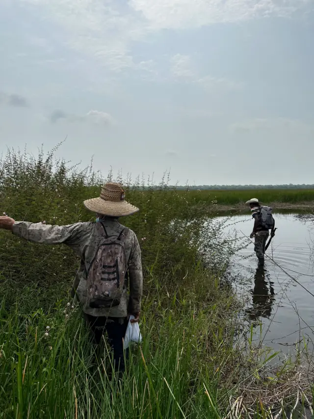 Investigadores realizan trabajos de reconocimiento en el Santuario de Vida Silvestre Crooked Tree, donde descubrieron evidencia de una instalación precolombina de trampas para peces a gran escala.