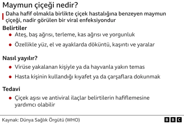 Maymun çiçeği virüsü açıklama