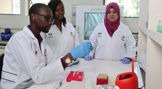 ዶ/ር አንጃ ብራንደን በአሜሪካ በስታንፎርድ ዩኒቨርስቲ ጥናቱ ሲሠራ ተሳትፋለች።