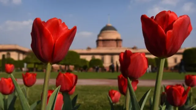 अमित शहा, बीबीसी डॉक्युमेंट्री
