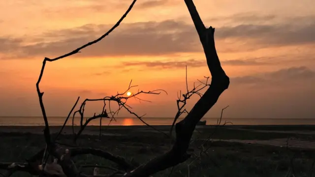 මන්නාරම වෙරළ තීරයක ඉර බස යන දර්ශනයක් 