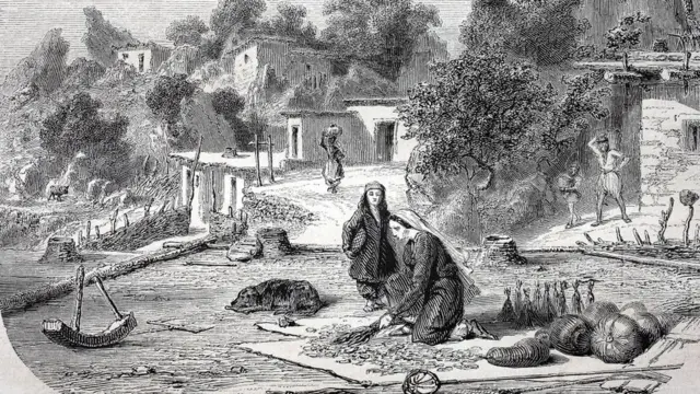 کرائمیا میں زندگی کی جھلک