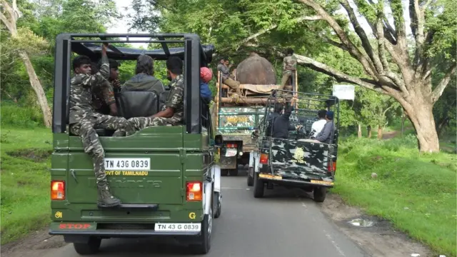 రివాల్డో