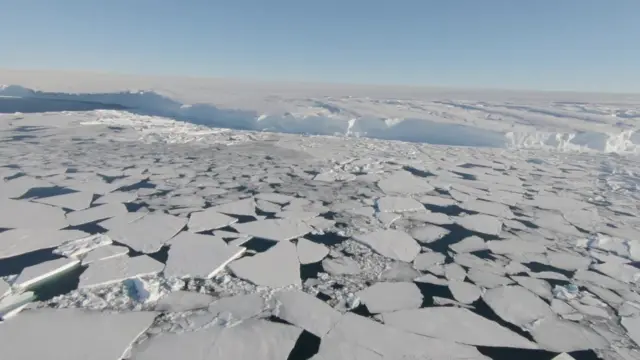 Бул муздардын тездик менен эриши ошол аймакка эле эмес, бүтүндөй жер планетасына терс таасирин берет