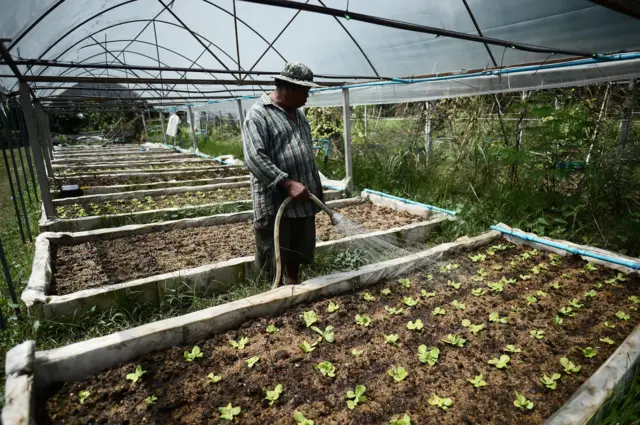 สมโภชน์