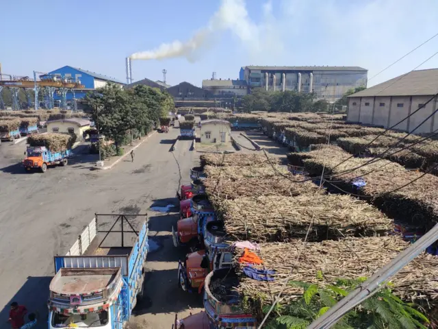 સુરતના ઓલપાડ તાલુકામાં આવેલી સાયણ વિભાગ સહકારી ખાંડ ઉદ્યોગ મંડળીની ખાંડ મિલની એક તસ્વીર