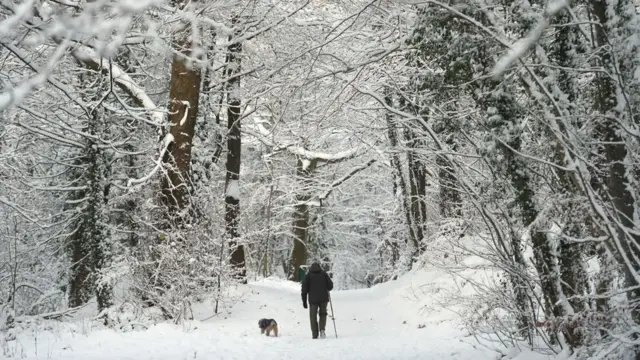 Человек на заснеженной лесной дорожке.