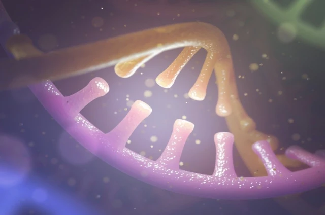 รูปโค้งอาร์เอ็นเอสีชมพู-เขียว