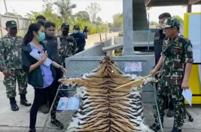 tiger skin is not match with the photo