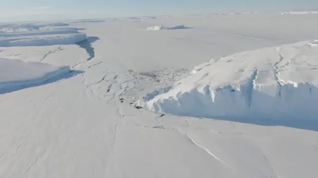 Ак аюулардын үйү бузулбасын...