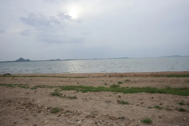 ప్రాజెక్టులలో పూడికలు