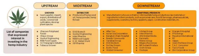 หากเปรียบเทียบกันในเชิงพาณิชย์แล้วตลาดพืชกัญชงมีกลุ่มเอกชนรายใหญ่จากหลากหลายอุตสาหกรรมให้ความสนใจอย่างมากทั้งในส่วนต้นน้ำ กลางน้ำ และปลายน้ำ