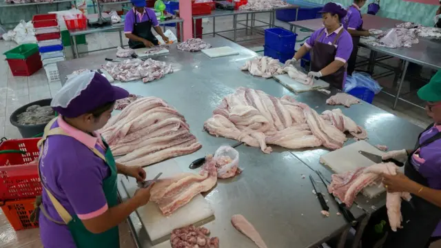 مزرعه پرورش تمساح