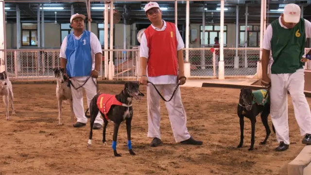 狗伕在沙圈牽著賽狗（BBC中文圖片23/6/2018）