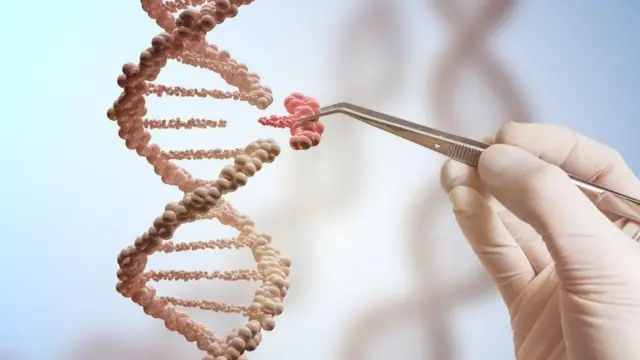 DNA