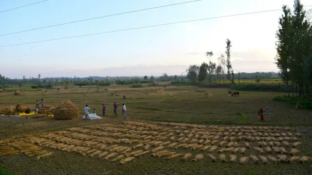 પ્રતીકાત્મક તસવીર