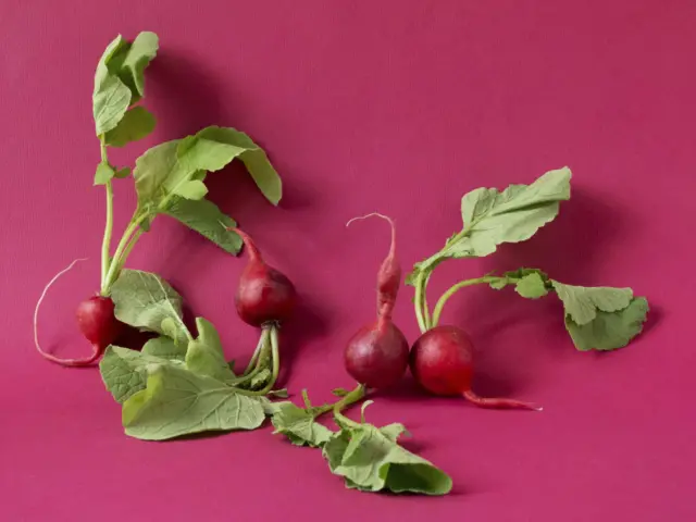 Хто такі овочі та як їх розрізняти? Короткий гід весняною городиною