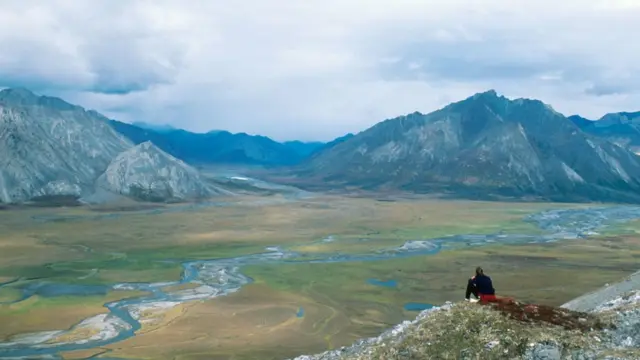 Refugio Nacional de Vida Silvestre del Ártico, en Alaska