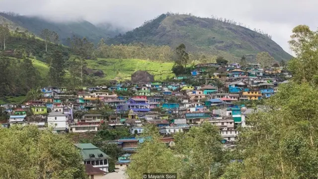 નીલકુરંજી