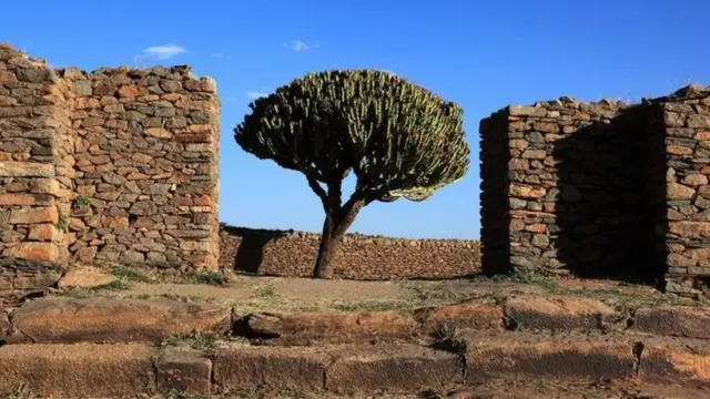 أنقاض مدينة أكسوم هي أحد مواقع التراث العالمي للأمم المتحدة