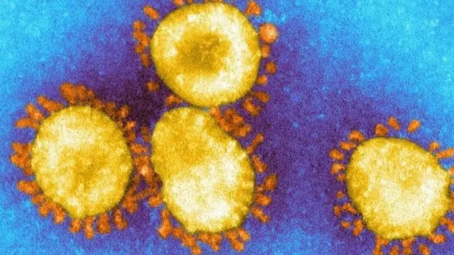 коронавирус