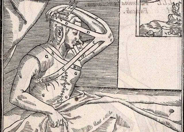 Operación de Tagliacozzi