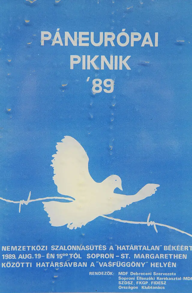 афиша "пикника"