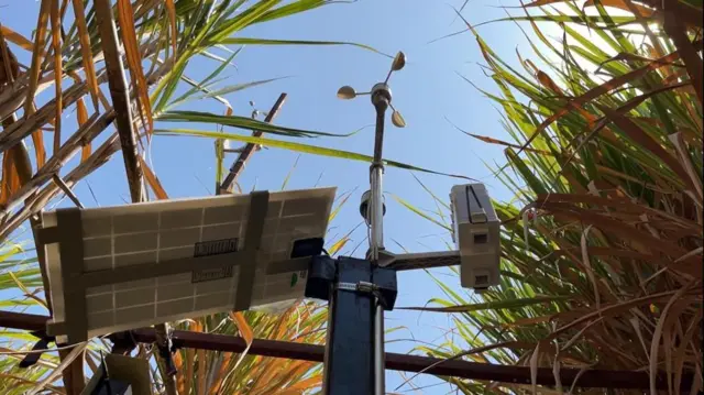 तज्ज्ञांच्या मते जर अनेक गोष्टींवर नियंत्रण ठेवत पीक घेतलं गेलं तर उत्पादकता वाढू शकते हे संशोधनातून यापूर्वीही दिसलं आहे.