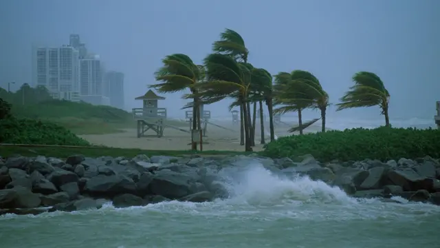 પ્રતીકાત્મક તસવીર