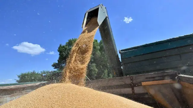 Una máquina coloca grano en un camión. 