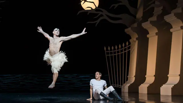 Лебедь и Принц