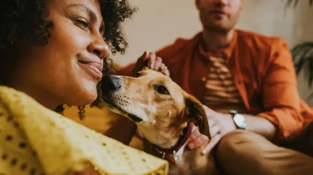 A dog and its owners on a couch
