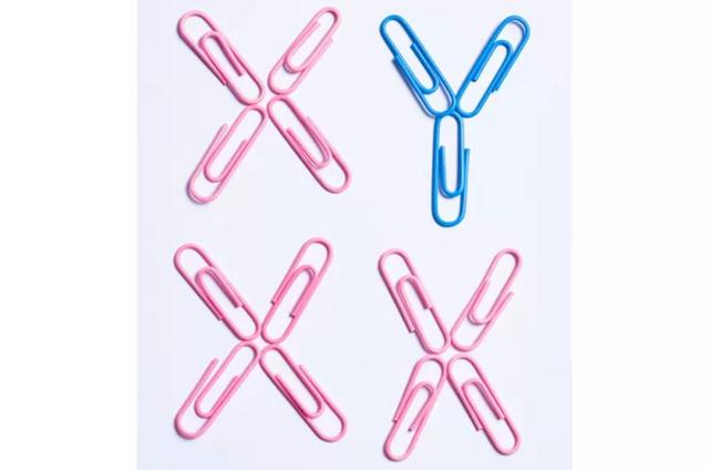 ilustração forma x e y com clipesjogos de aposta cassinopapel