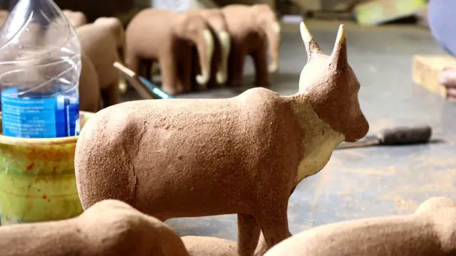 హార్టికల్చర్ శాఖ సహాయంతో ఈ ఏడాది ఉత్తరాఖండ్ రాష్ట్ర నర్సరీల నుండి 5 వేల తెల్ల పొనికి మొక్కలను తెప్పించారు