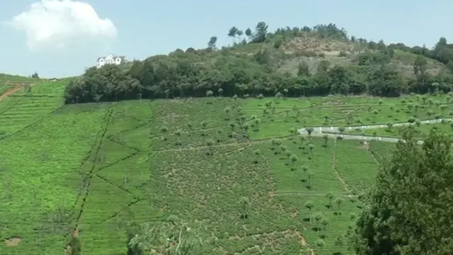 கோடநாடு எஸ்டேட்