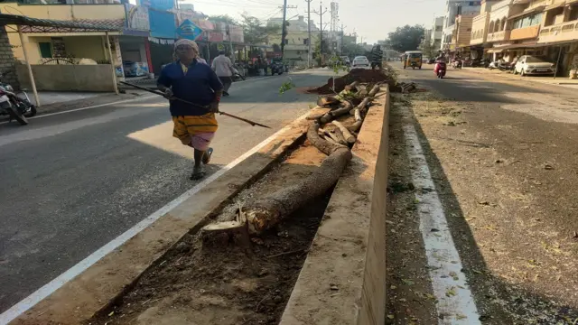 చెట్ల నరికివేత