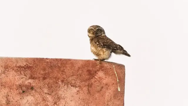 तस्वीर, अवॉर्ड, फ़ोटोग्राफ़ी